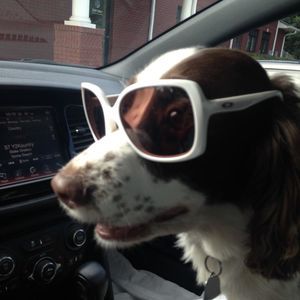 Meet your Posher, Lana